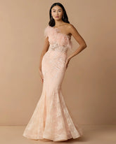 Pink One Shoulder Feather Embellished Mermaid Gown