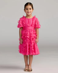 Girls Pink Chiffon High Neck Ruffle Dress