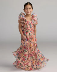 Chiffon Ruffle Shoulder Dress